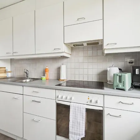 Altwiesenstrasse 144 Апартаменты Цюрих