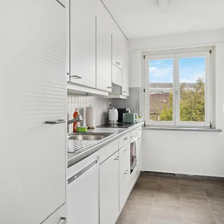 Altwiesenstrasse 144 Апартаменты