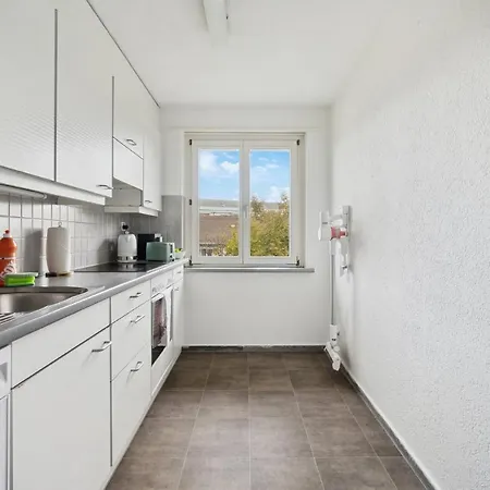 Apartment Altwiesenstrasse 144 Zurich