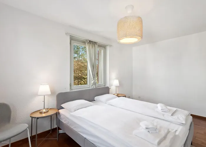 Altwiesenstrasse 144 *