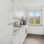 Altwiesenstrasse 144 Διαμέρισμα