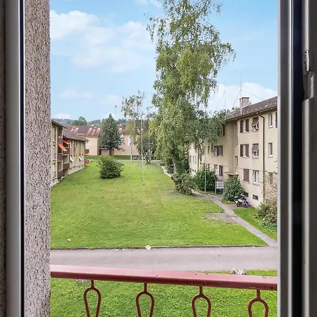 Altwiesenstrasse 144 *