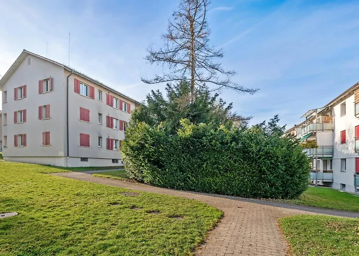 Altwiesenstrasse 144 *