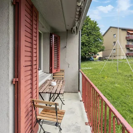 Apartment Altwiesenstrasse 144 Zurich